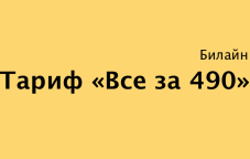 Обзор тарифа «Все за 490» от Билайн в Казахстане