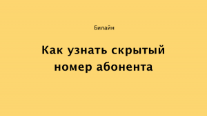 Как узнать скрытый номер билайн казахстан